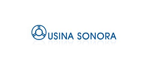 Logo do cliente: Usina Sonora - MS